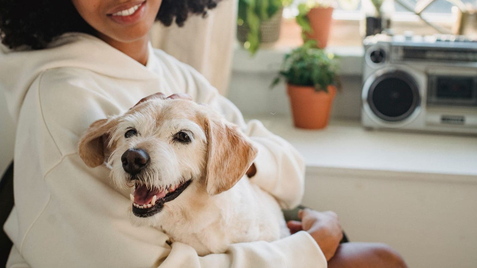 Smiling woman holding her happy new dog at home after adopting a dog from another state and arranging transport