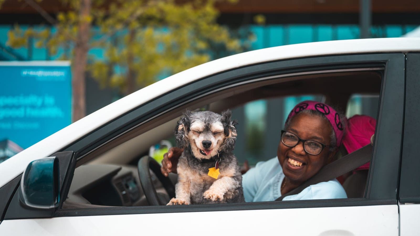 Smiling driver in a car with a small happy dog on her lap, weighing GoGoPets vs CitizenShipper for drivers