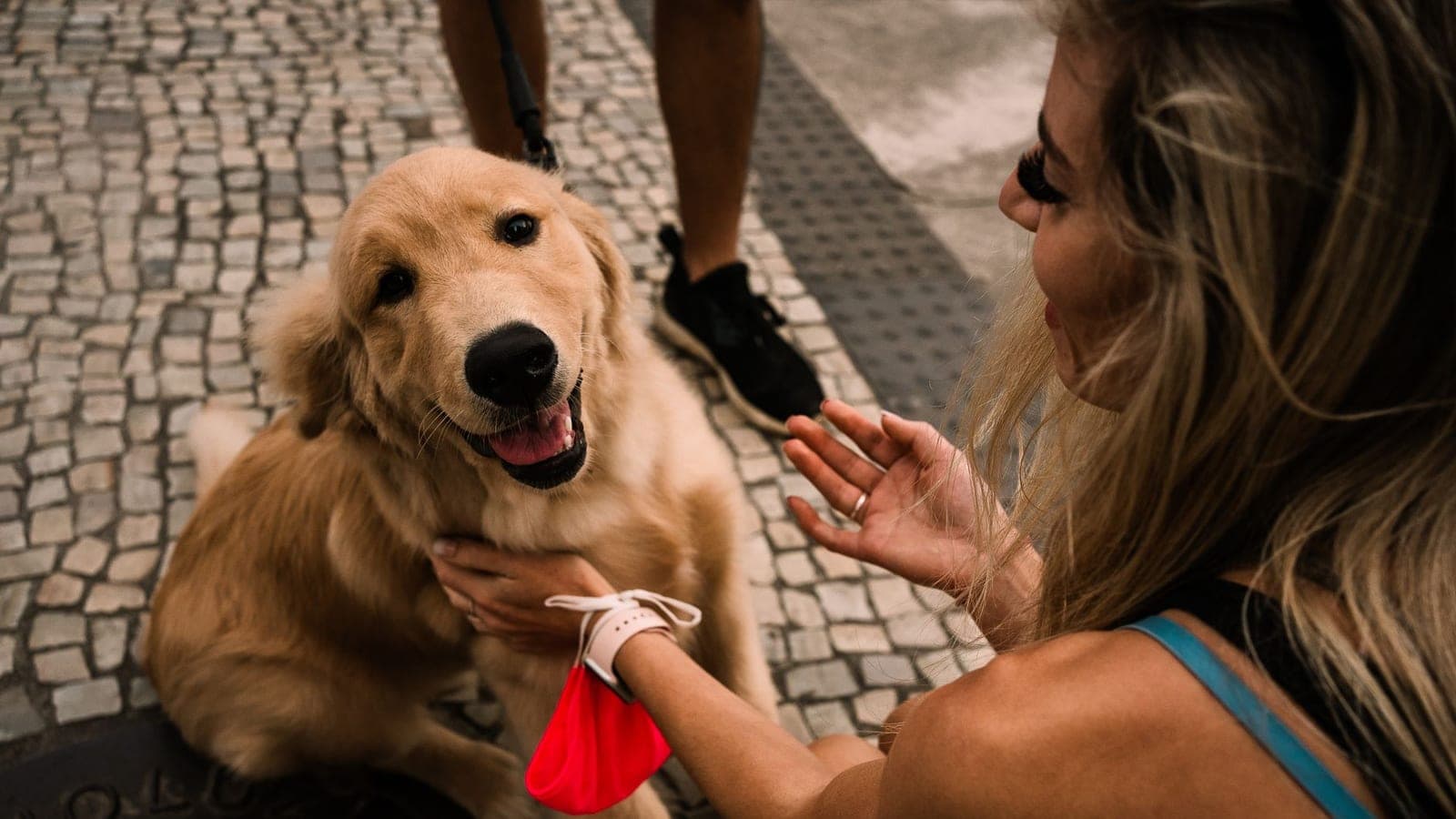Smiling woman greeting a happy golden retriever on a city sidewalk, the kind of owner deciding whether to pay a pet transporter directly