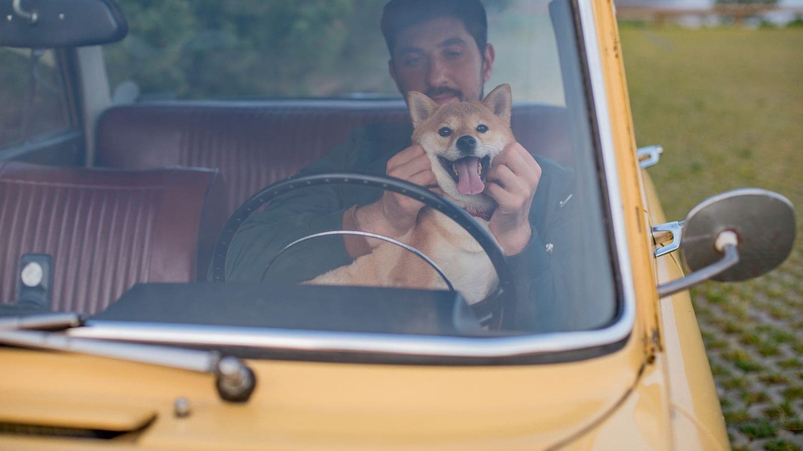 Smiling driver in a car holding a happy Shiba Inu at the wheel, the kind of trip that stays in the app instead of an off-platform pet transport deal