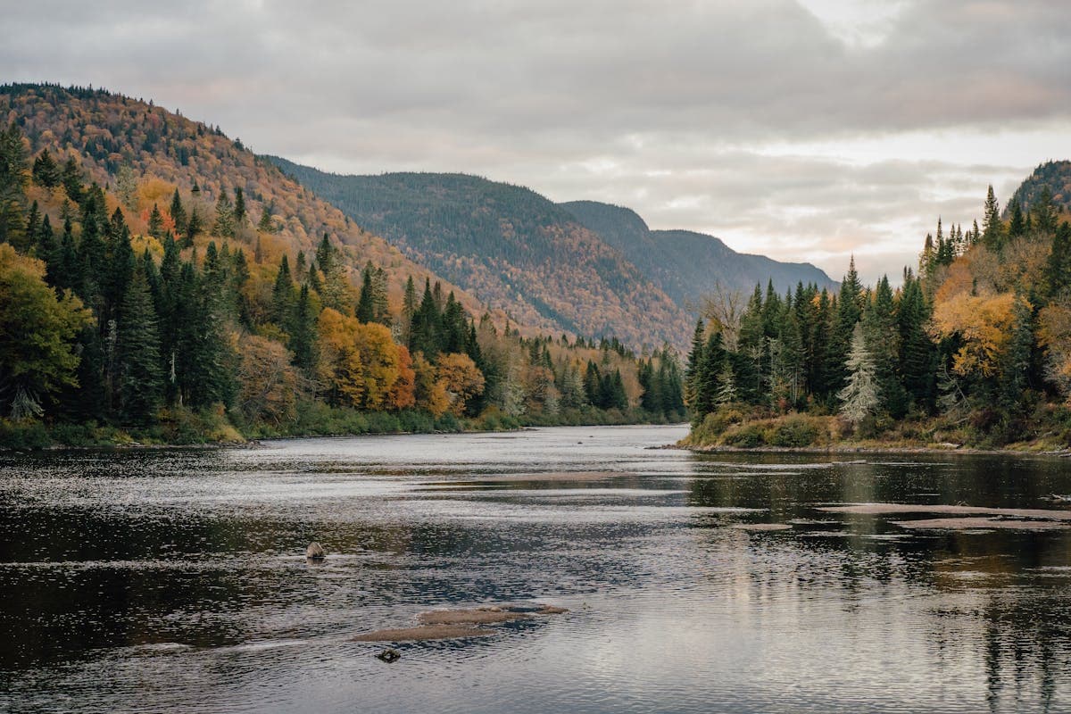 Pet transportation in Arkansas - Ozark Mountains river valley in autumn