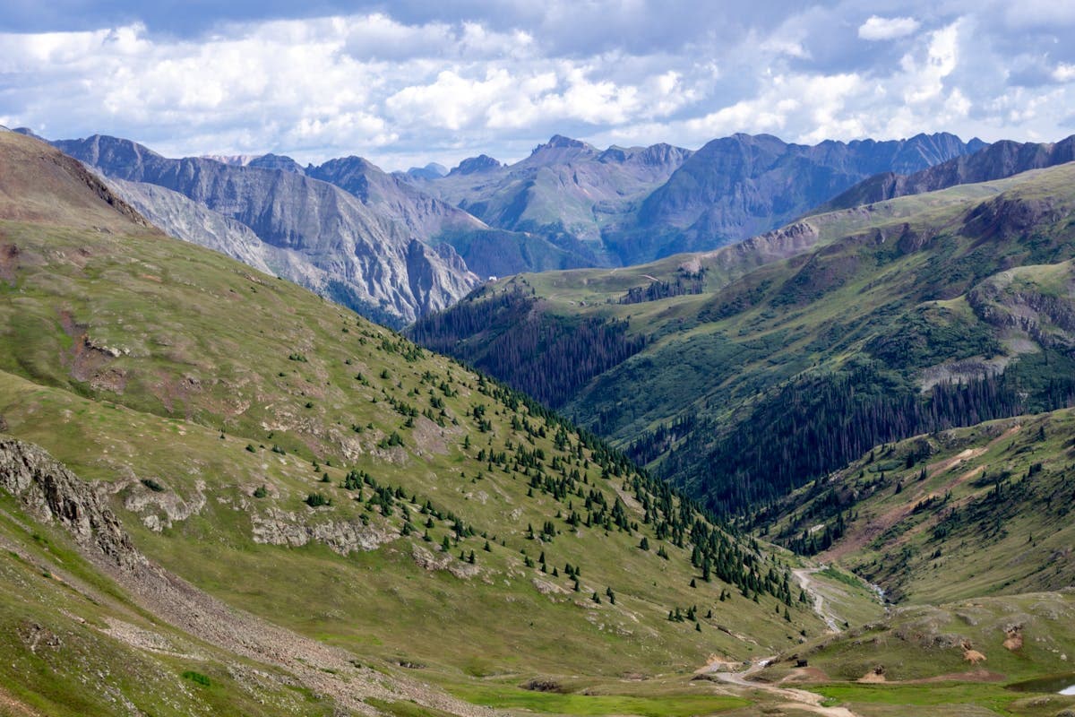 Pet transportation in Colorado - Rocky Mountain peaks