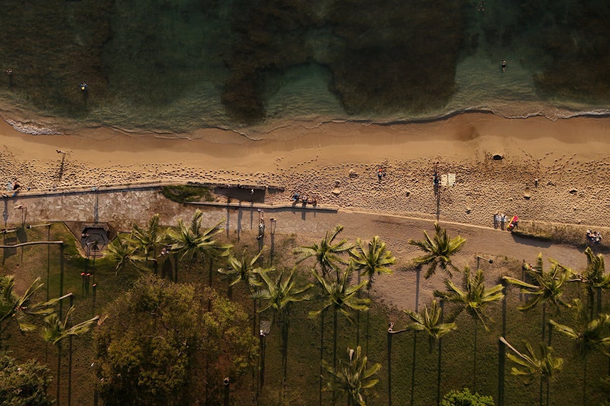 Pet transportation in Hawaii - Waikiki Beach aerial with Diamond Head