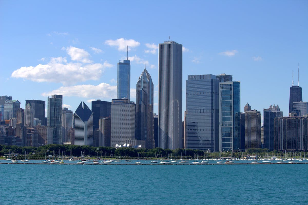 Pet transportation in Illinois - Chicago skyline on Lake Michigan