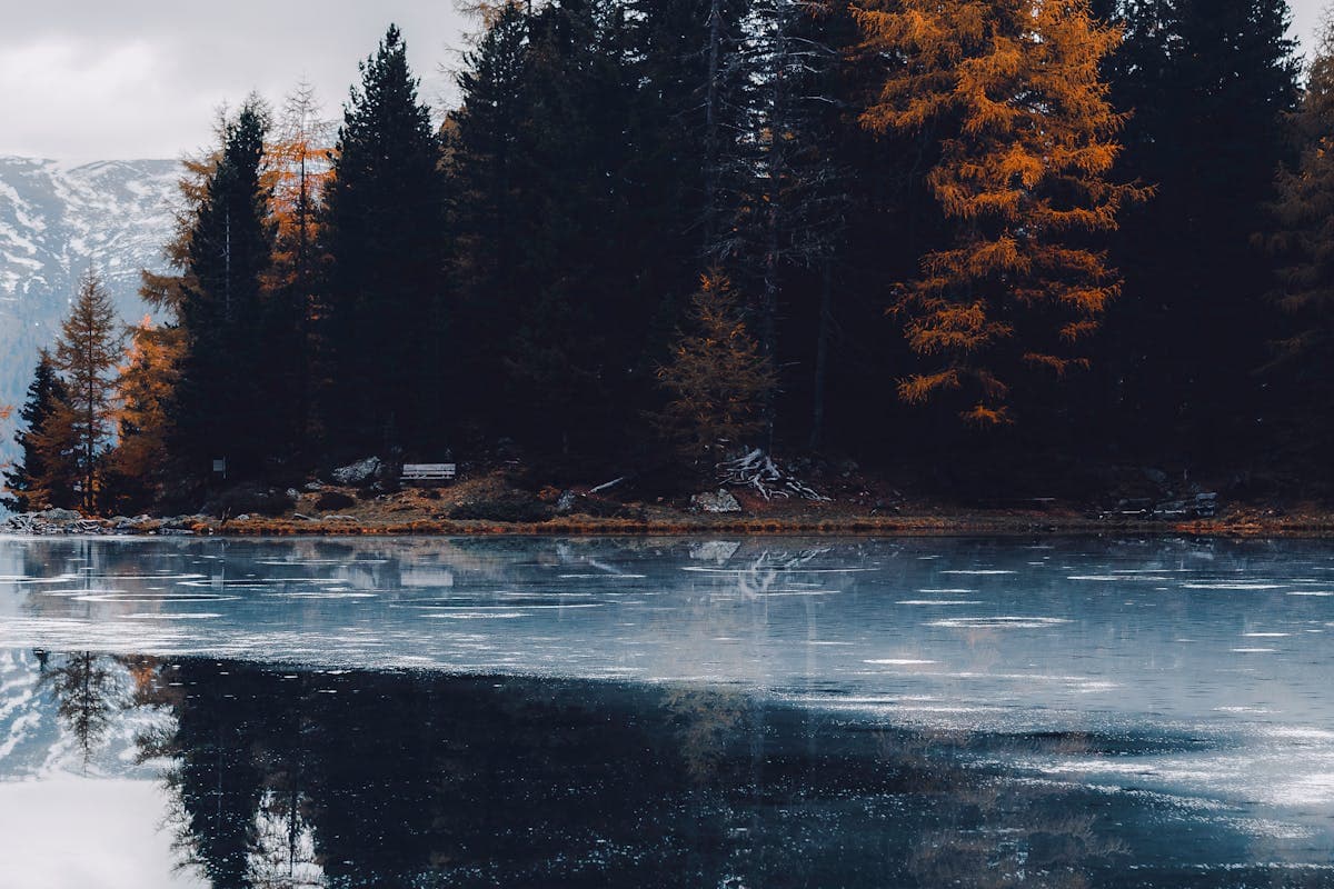 Pet transportation in Minnesota - autumn lake reflection