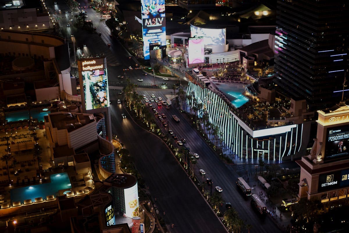 Pet transportation in Nevada - Las Vegas Strip at night