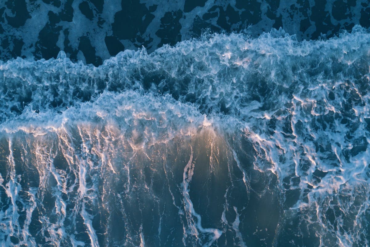 Pet transportation in New Jersey - Jersey Shore ocean waves