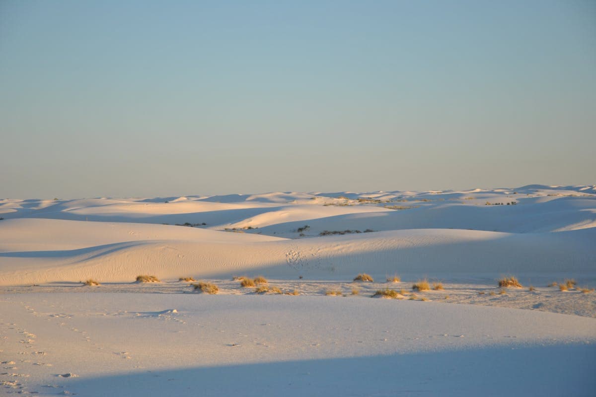 Pet transportation in New Mexico - White Sands desert dunes