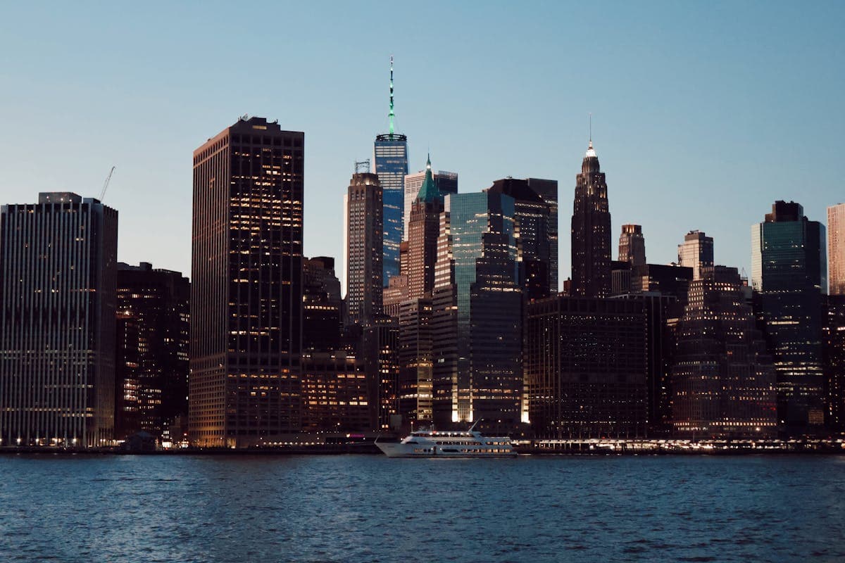 Pet transportation in New York - Manhattan skyline