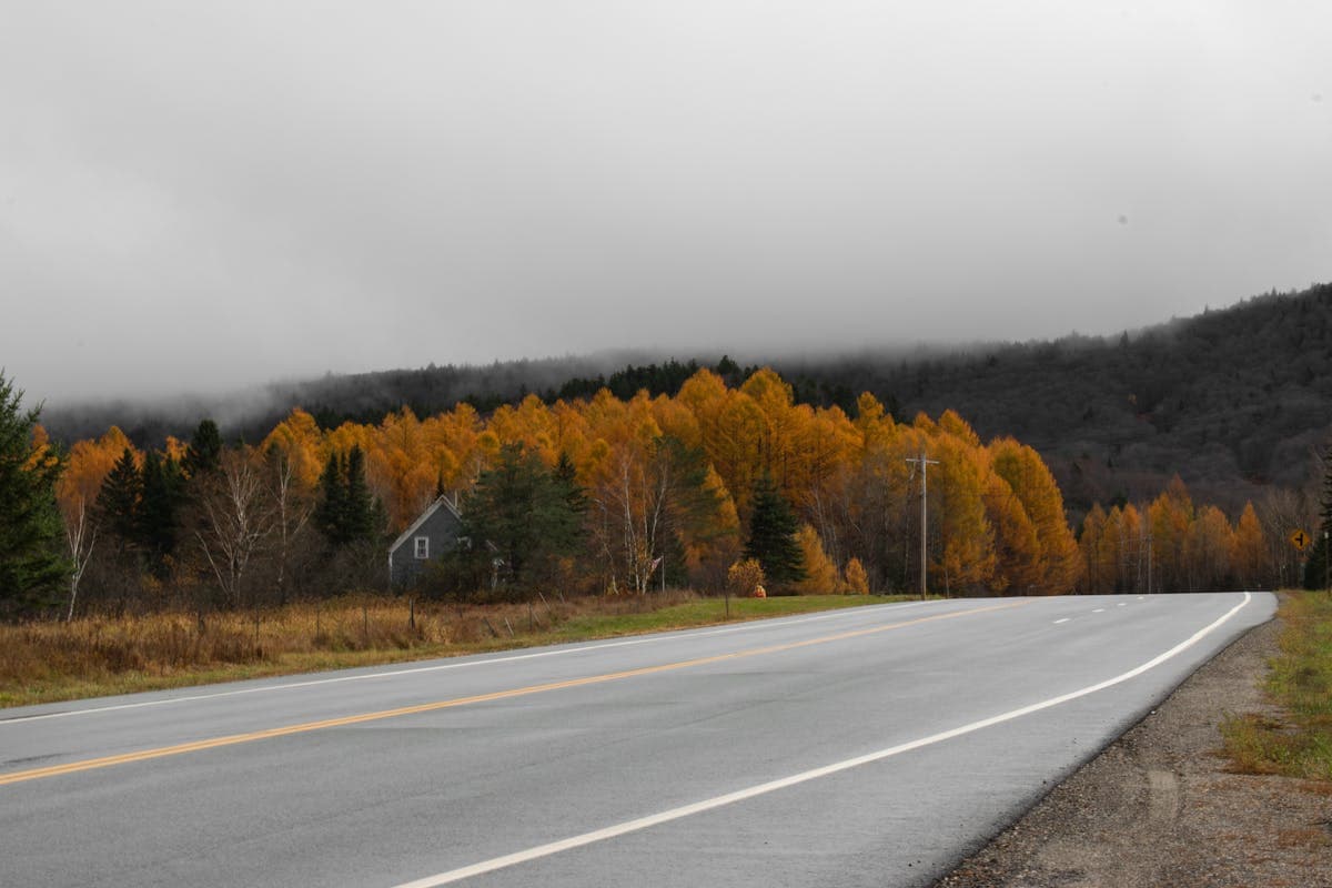 Pet transportation in North Carolina - Blue Ridge Parkway fall foliage