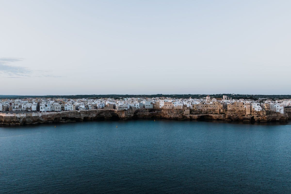 Pet transportation in South Carolina - colorful coastal town