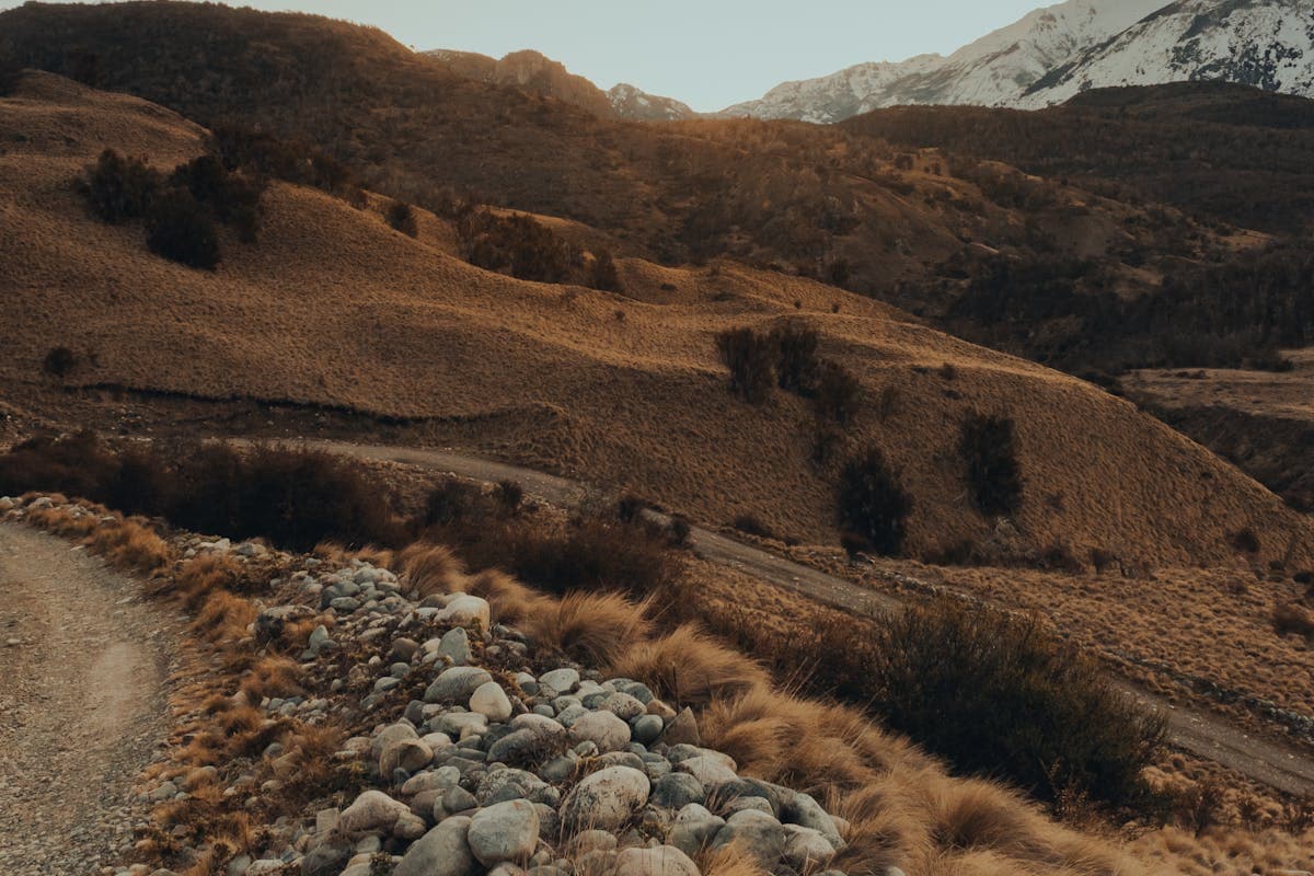 Pet transportation in Virginia - Blue Ridge Mountain road in autumn