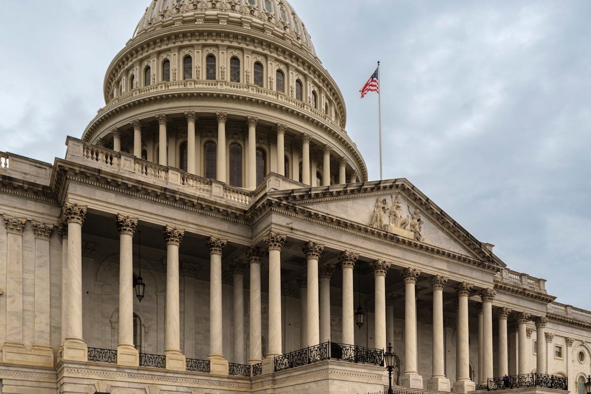 Pet transportation in Washington D.C. - United States Capitol Building