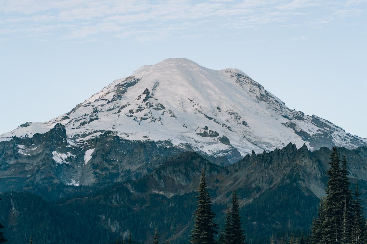Pet transportation in Washington State - Mount Rainier