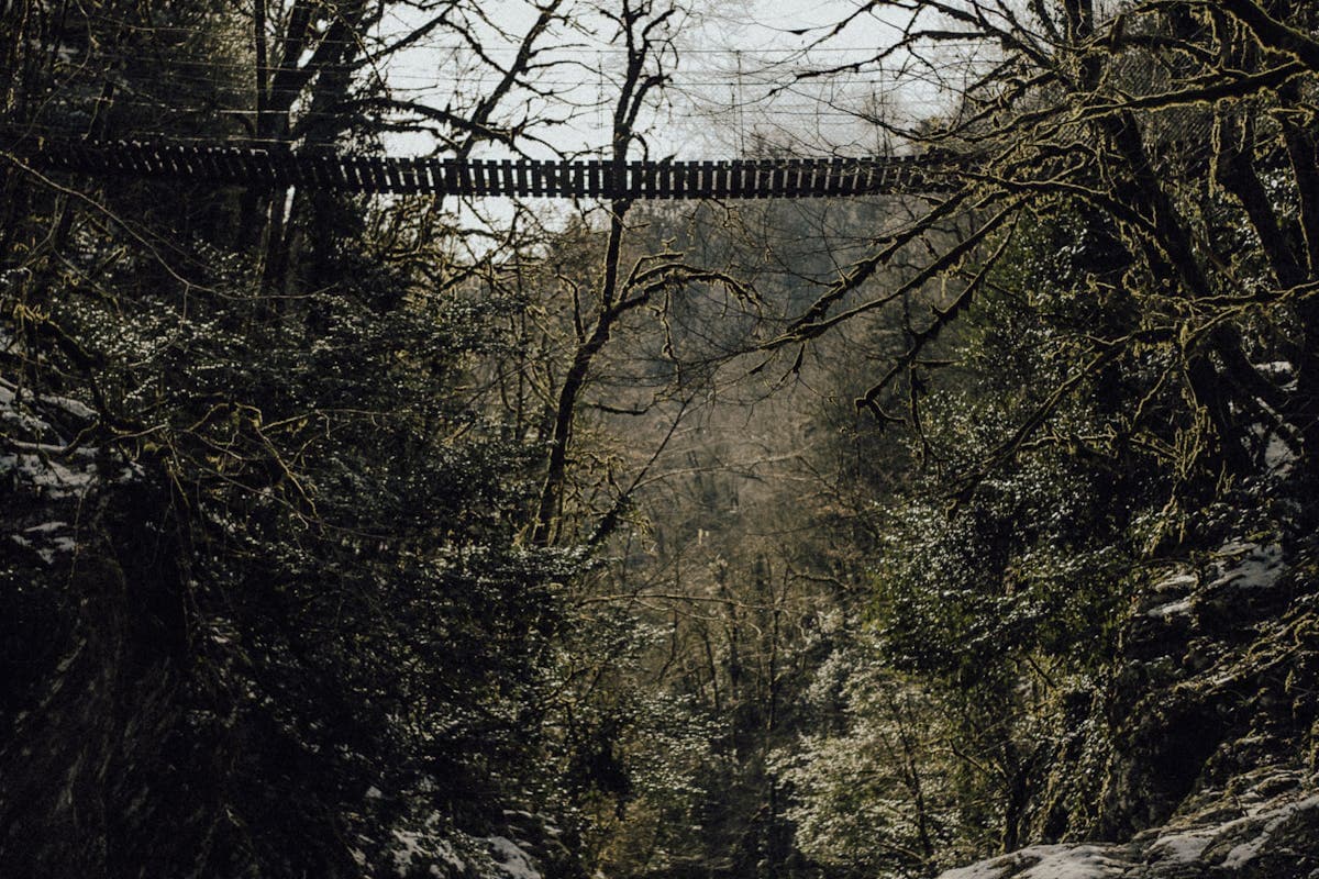 Pet transportation in West Virginia - bridge over mountain river gorge