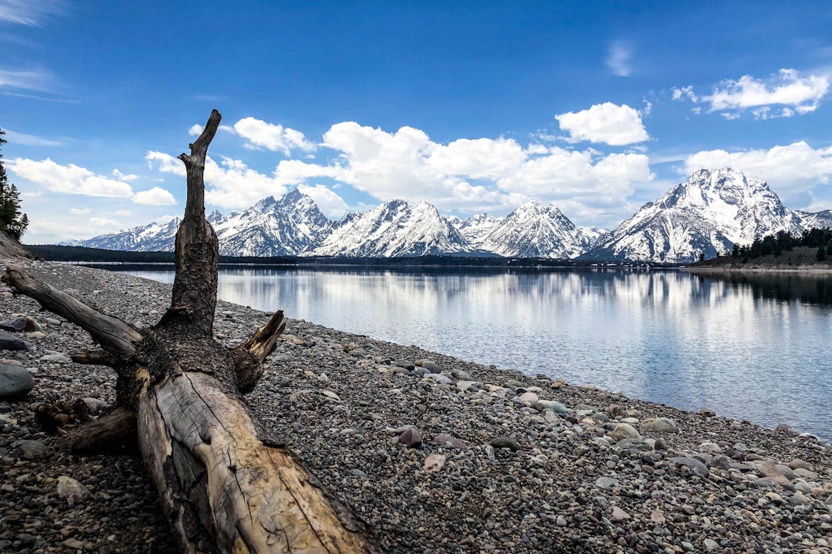 Pet transportation in Wyoming - Grand Teton peaks reflected in Jackson Lake