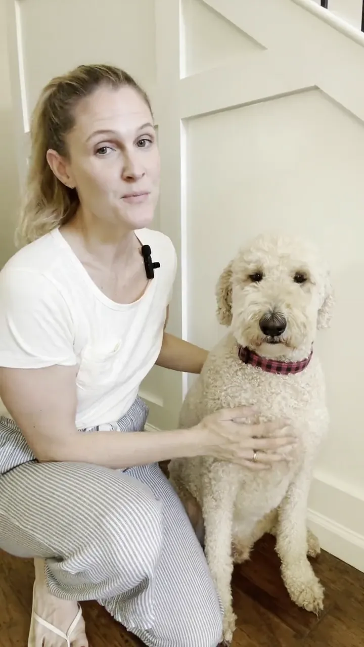 Customer video testimonial, Chicago → Miami